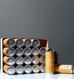 Bier 250 ml Slimline Can